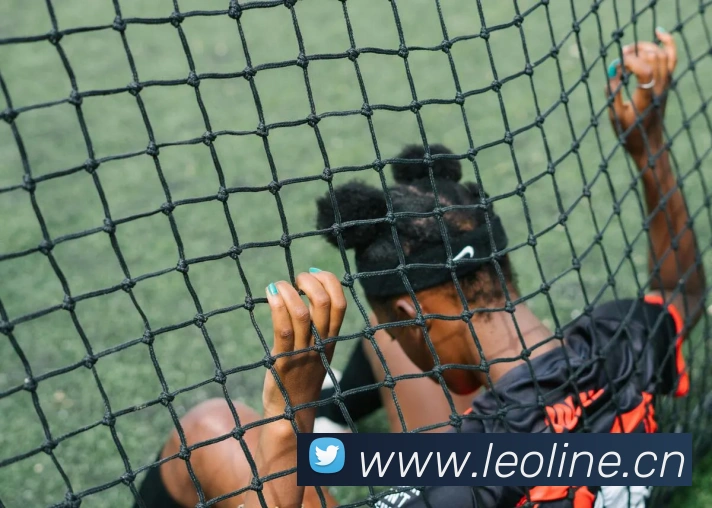 开云网页版在线登录app发展历程